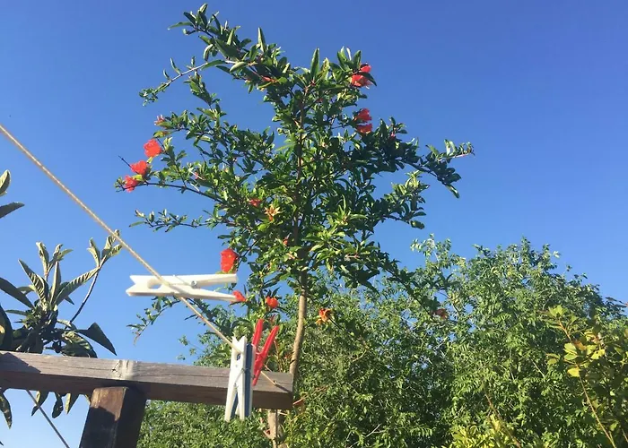 San Saba Rooftop Garden Дом отдыха *